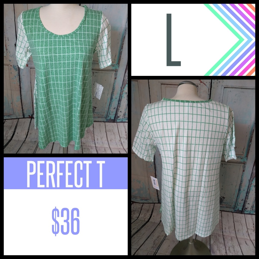 Large Perfect T-Shirt